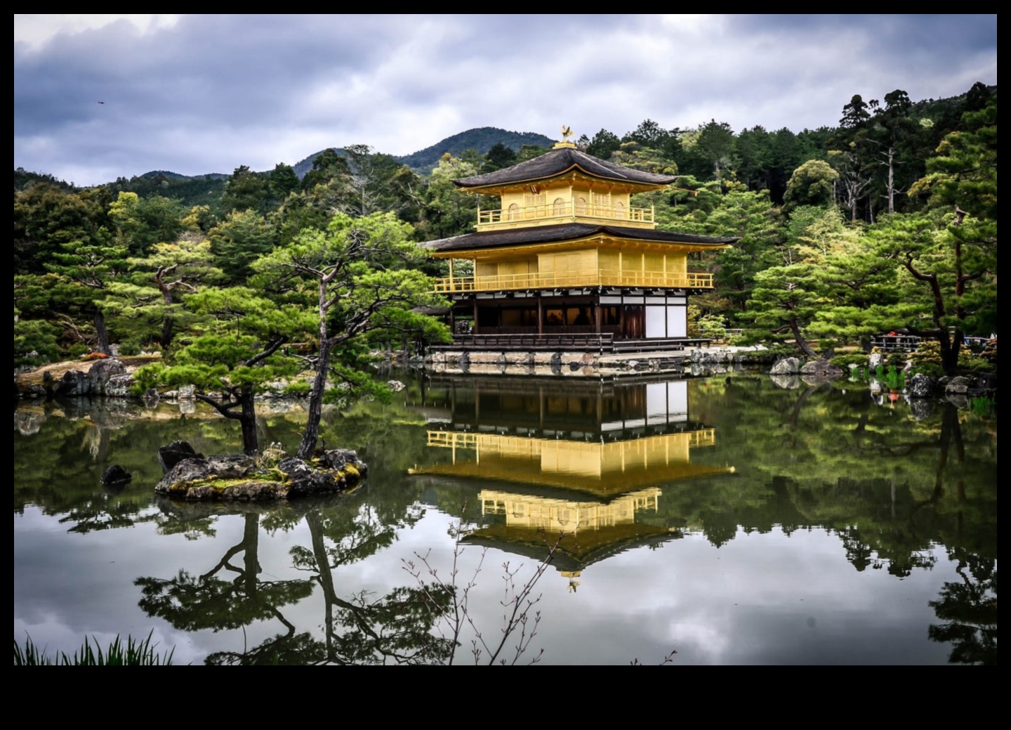 Nature's Harmony: Ιαπωνική ομορφιά του κήπου σε κάθε φύλλο