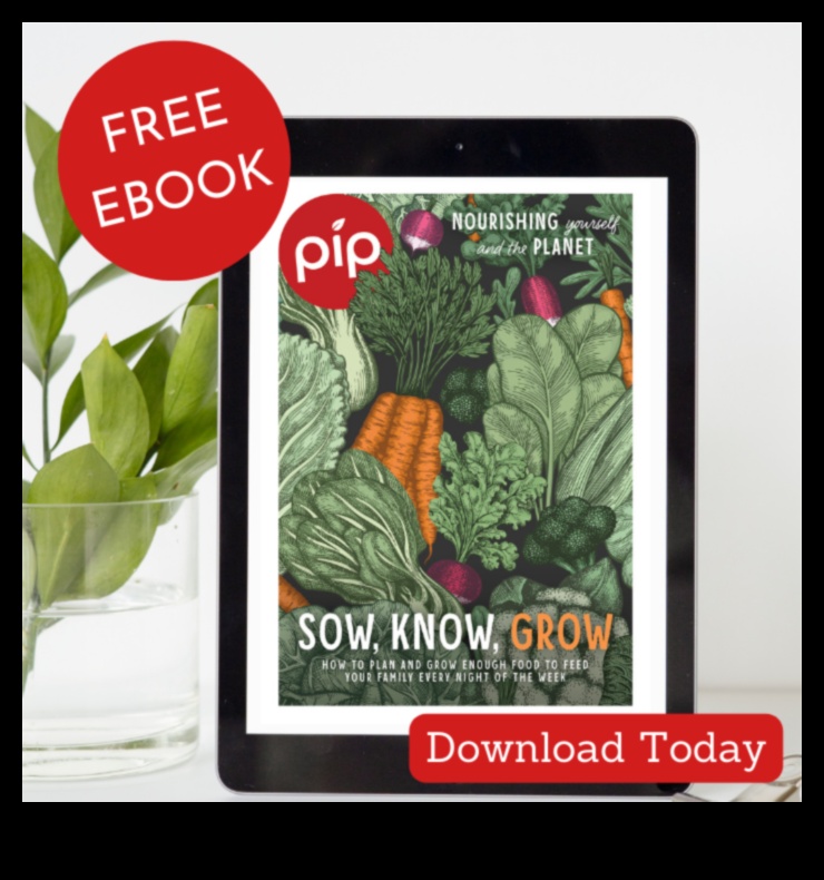 Sw, Grow, Know: Interactive Garden Learning Sessions