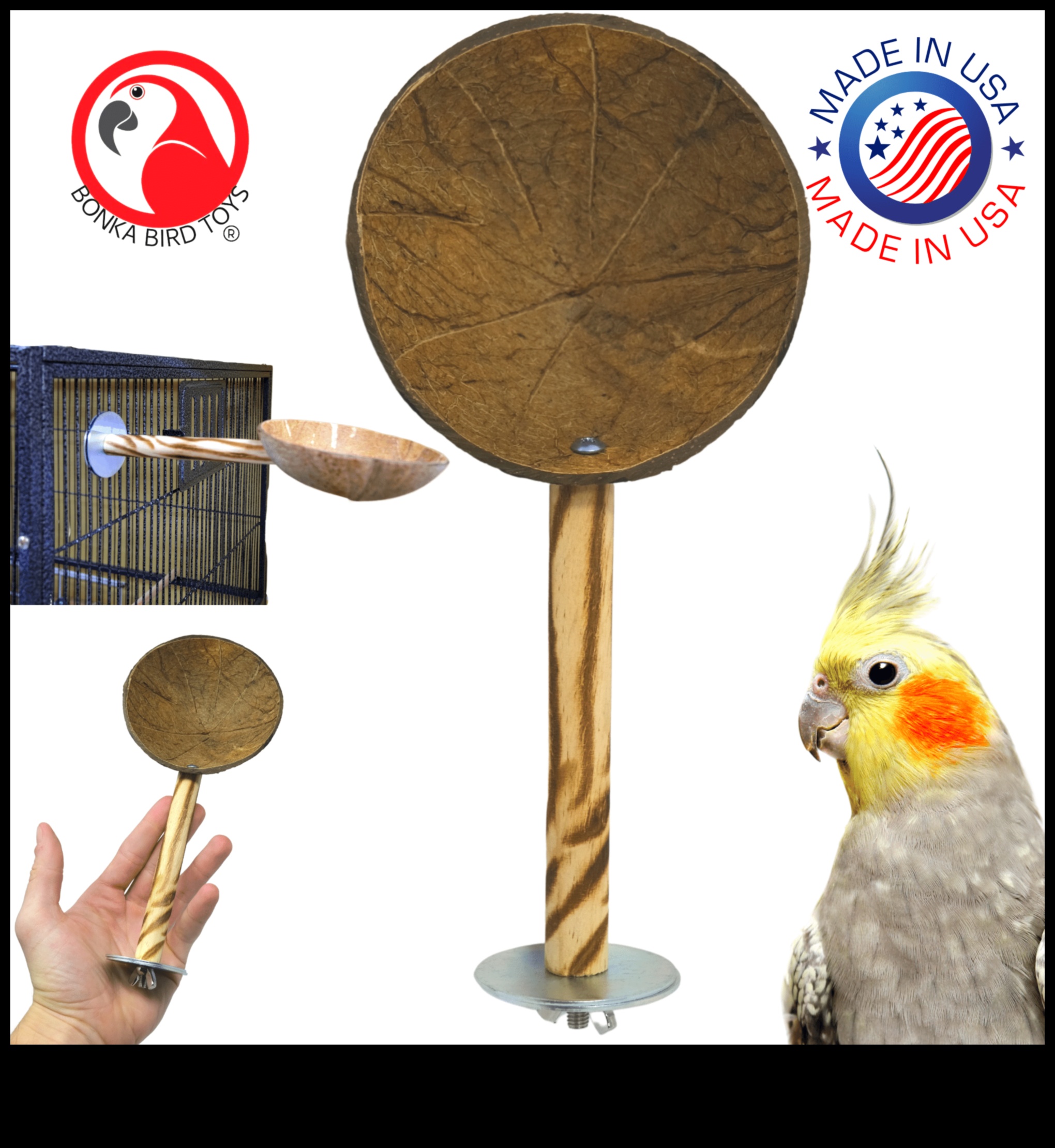 DIY Bird Perches: Δημιουργήστε άνετα σημεία ανάπαυσης για τους φίλους σας με πτηνά