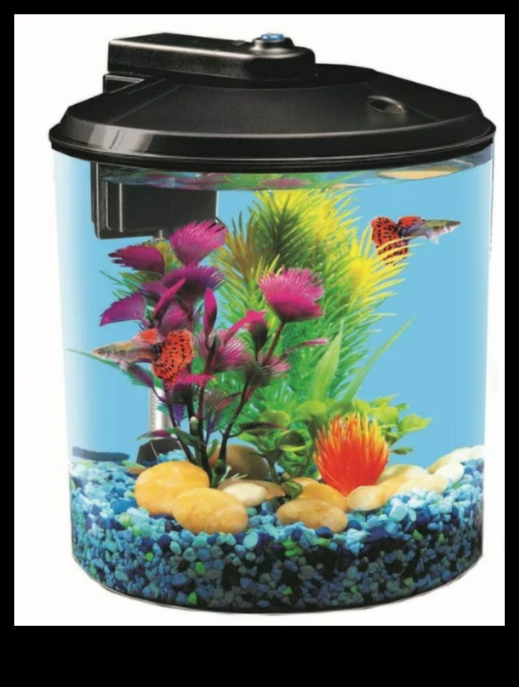 Aqua Adornments Συνέχεια: Ενισχύοντας την αισθητική της δεξαμενής ψαριών σας