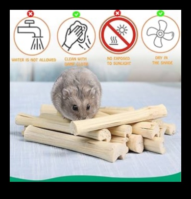 Hamster Playtime Continued: Διαδραστικά παιχνίδια για ψυχική διέγερση