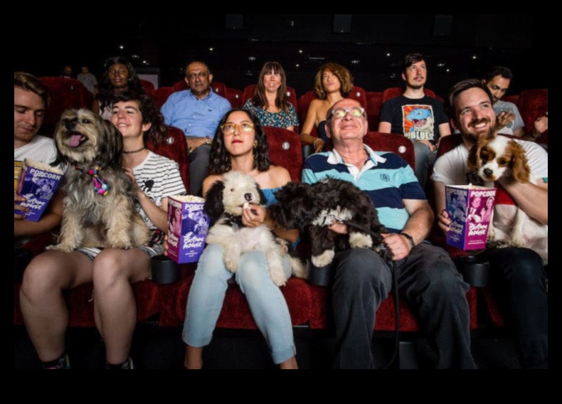 Canine Cinema: Movie Nights for You and Your Dog