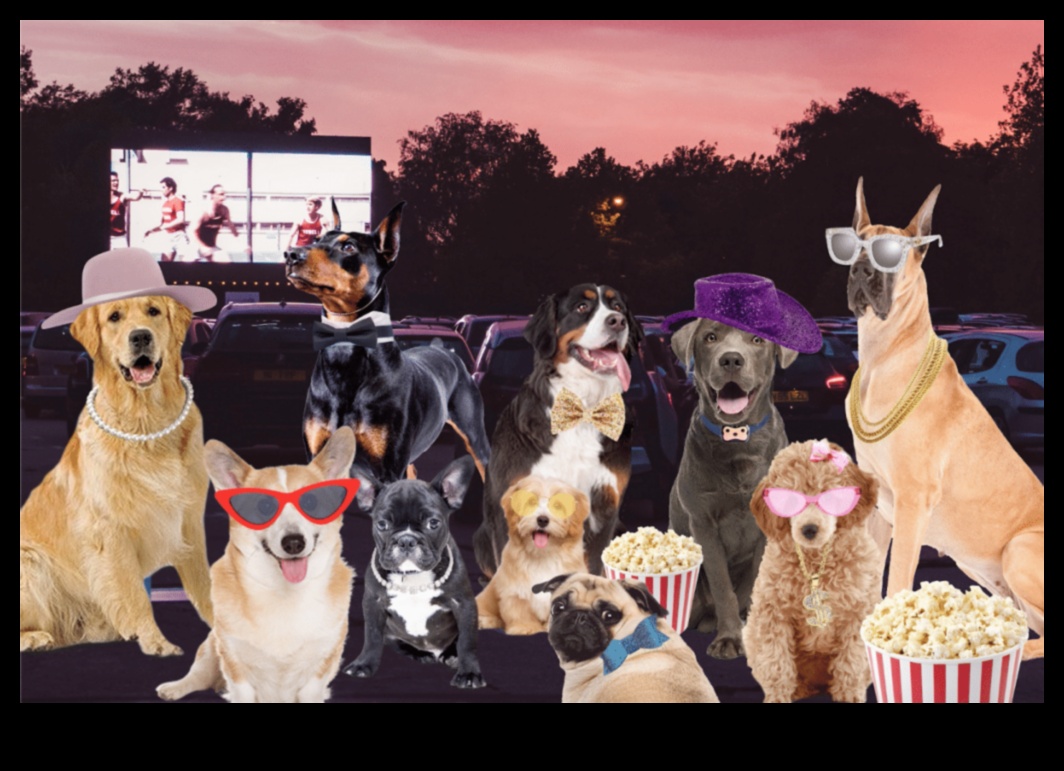 Canine Cinema: Movie Nights for You and Your Dog