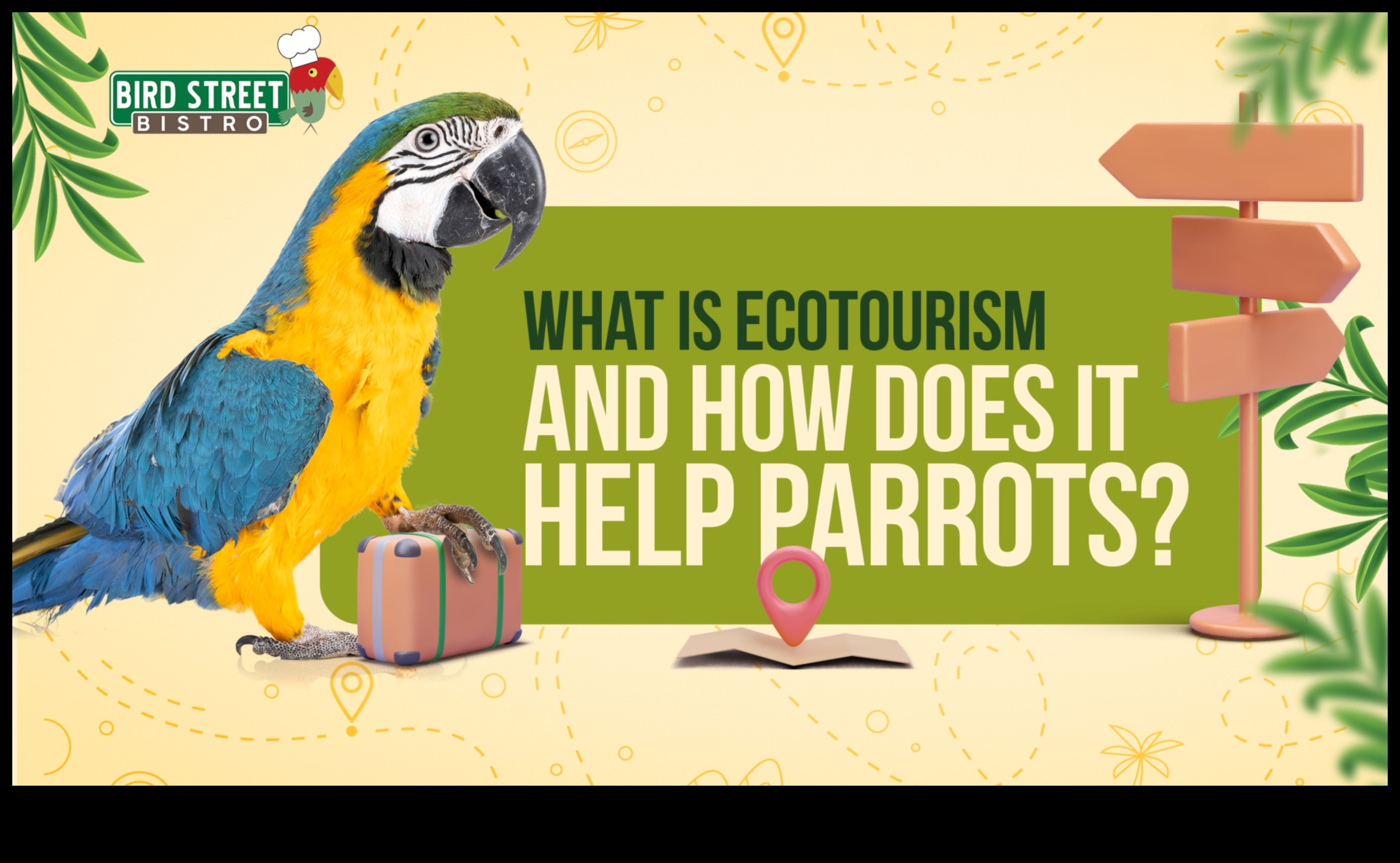 Πουλιά και Οικοτουρισμός Εξισορρόπηση της Διατήρησης με Υπεύθυνο Τουρισμό 2 Πουλιά και Οικοτουρισμός: Εξισορρόπηση της Διατήρησης με τον Υπεύθυνο Τουρισμό