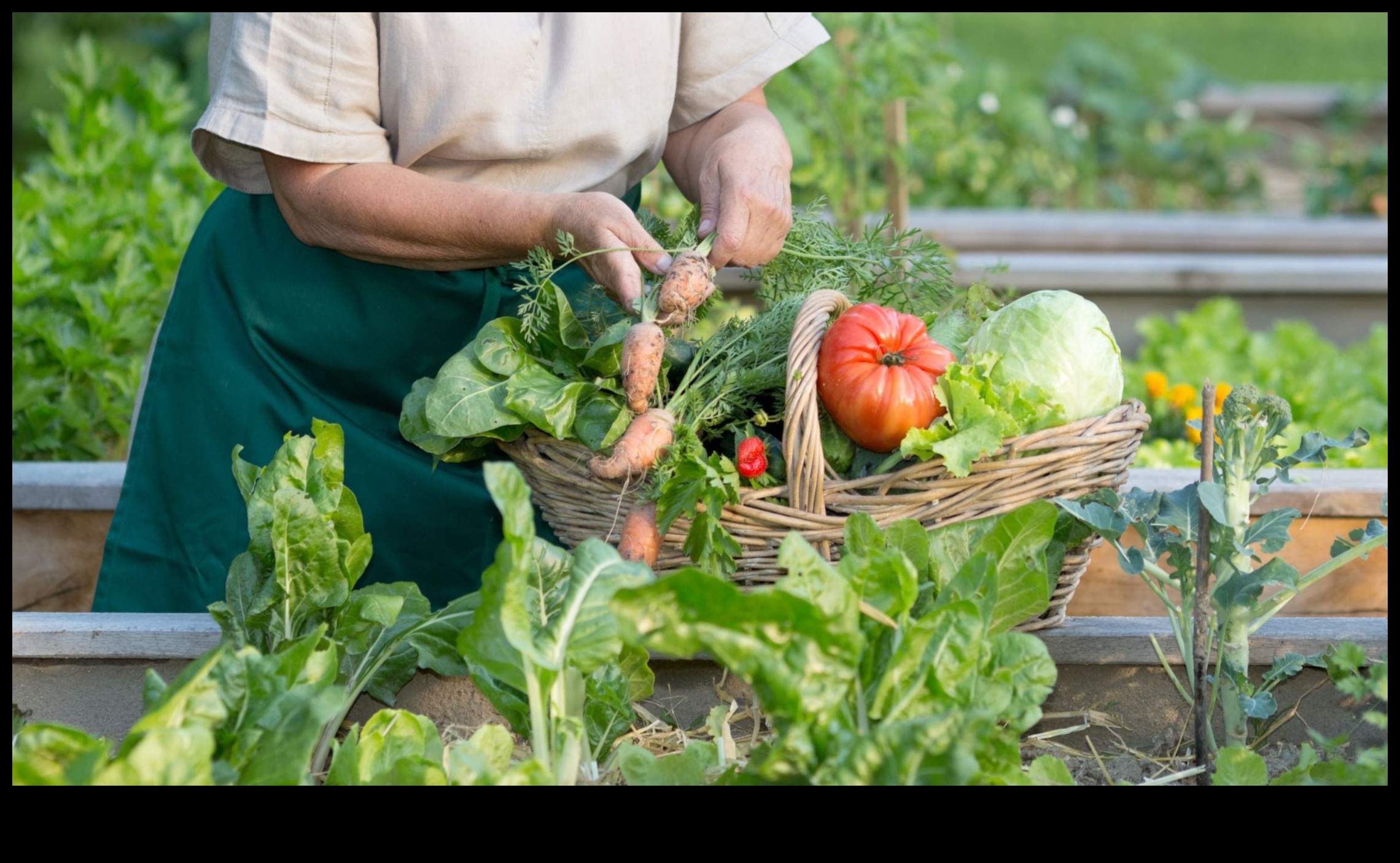 Harvesting Health: The Organic Gardeners' Legacy
