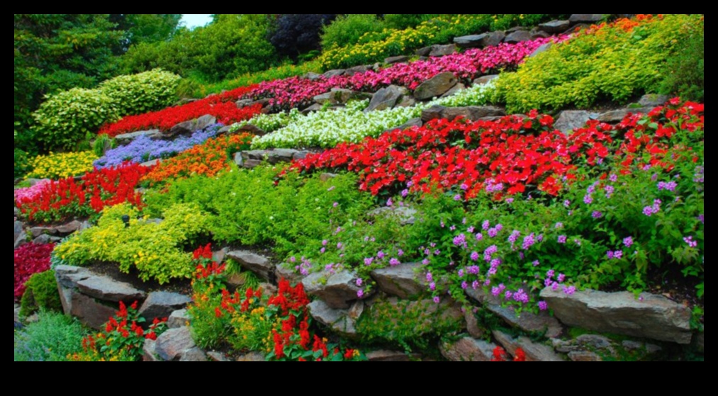 Sow Success DIY Adventures για ένα ανθισμένο τοπίο 2 Sow Success: DIY Adventures for a Blooming Landscape