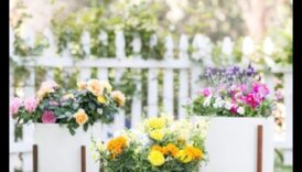 Blossom in Style: Αποκαλύφθηκαν μοντέρνες ιδέες διακόσμησης κήπου