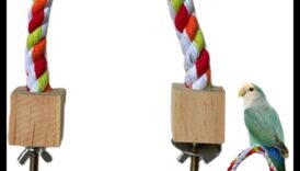 DIY Bird Perches: Δημιουργήστε άνετα σημεία ανάπαυσης για τους φίλους σας με πτηνά