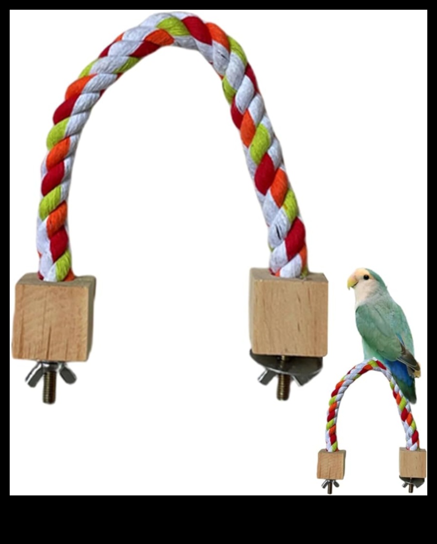DIY Bird Perches: Δημιουργήστε άνετα σημεία ανάπαυσης για τους φίλους σας με πτηνά