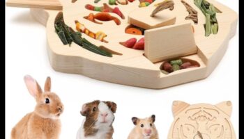 Hamster Playtime Continued: Διαδραστικά παιχνίδια για ψυχική διέγερση