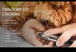 Pawdicures and Beyond: Paw Care for Dogs and Cats
