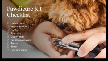Pawdicures and Beyond: Paw Care for Dogs and Cats