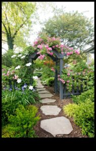 Sow Success: DIY Adventures for a Blooming Landscape