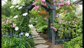Sow Success: DIY Adventures for a Blooming Landscape