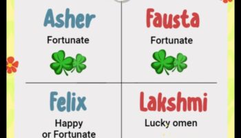 Sweet Serendipity: Απροσδόκητα και γοητευτικά ονόματα μωρών