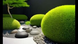 Zen Gardens: Designing Tranquility in Every Corner