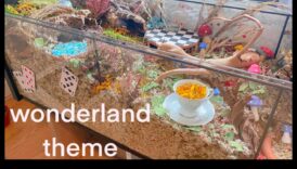 Δημιουργία μιας Χώρας Θαυμάτων Χάμστερ: Θεματικά Περιβάλλοντα για Αρραβώνα