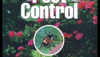 Batling Garden Bugs: A Gardener's Guide to Pest Control