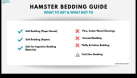 Κινητήρια δύναμη κλινοσκεπασμάτων χάμστερ Συνεχιζόμενες ασφαλείς εναλλακτικές λύσεις και επιλογές 2 Οδηγός κρεβατιού χάμστερ Συνέχεια: Ασφαλείς επιλογές και εναλλακτικές λύσεις