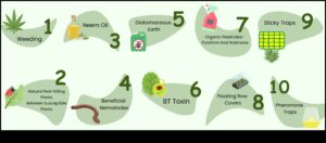 Παράδεισος από παράσιτα: Προστατεύοντας τα Πράσινά σας με Εξειδίκευση