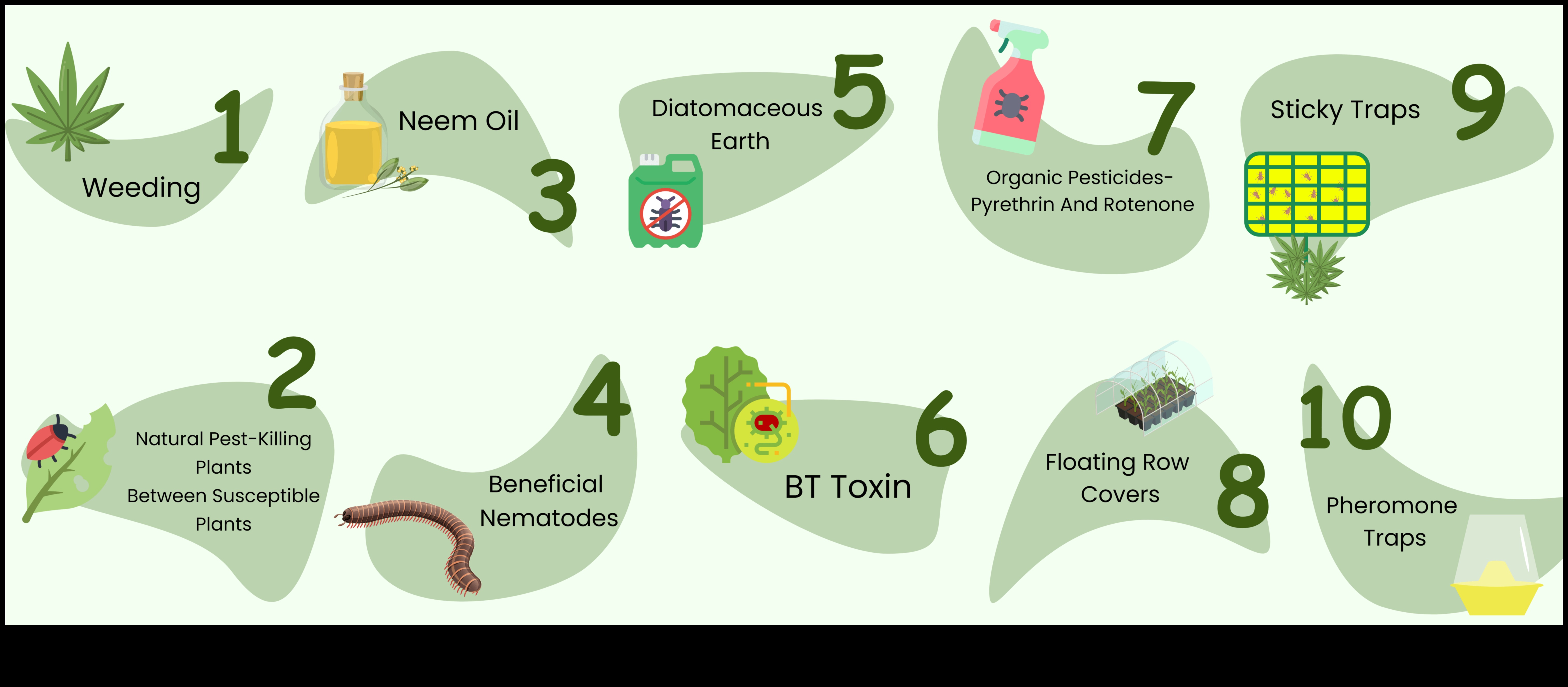 Παράδεισος από παράσιτα: Προστατεύοντας τα Πράσινά σας με Εξειδίκευση
